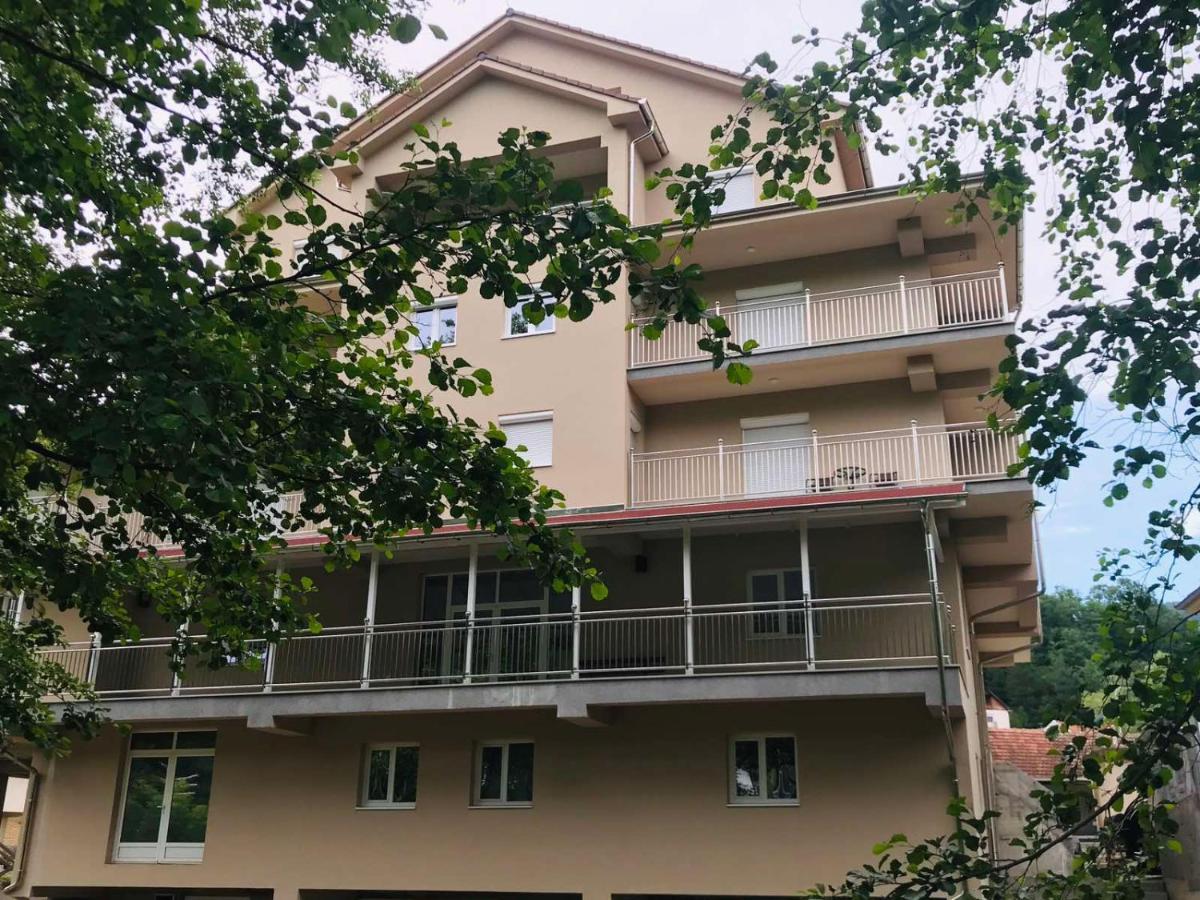 Apartmani & Spa Matin Breg Josanicka Banja Bagian luar foto